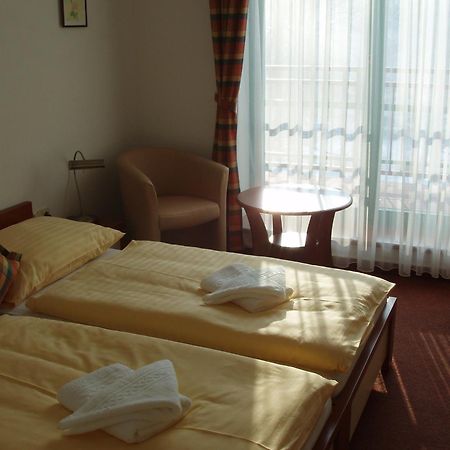 Hotel Loucky Litvínov Esterno foto
